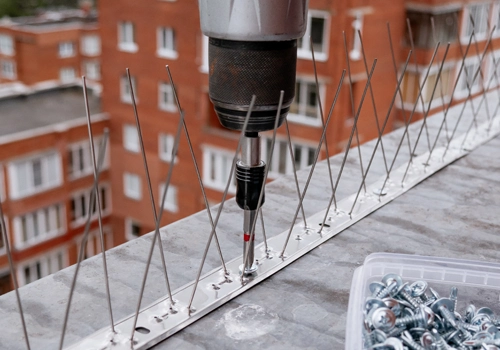 Dispositifs anti-nuisibles